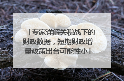专家详解关税战下的财政数据，短期财政增量政策出台可能性小
