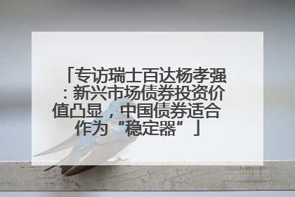 专访瑞士百达杨孝强：新兴市场债券投资价值凸显，中国债券适合作为“稳定器”