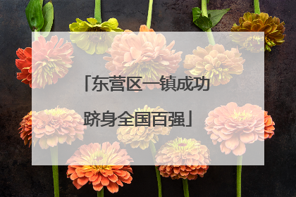 东营区一镇成功跻身全国百强