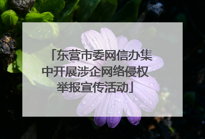 东营市委网信办集中开展涉企网络侵权举报宣传活动