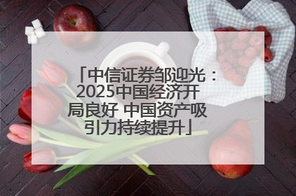 中信证券邹迎光：2025中国经济开局良好 中国资产吸引力持续提升