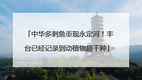 中华多刺鱼重现永定河！丰台已经记录到动植物超千种