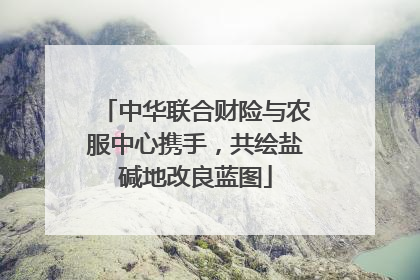 中华联合财险与农服中心携手，共绘盐碱地改良蓝图