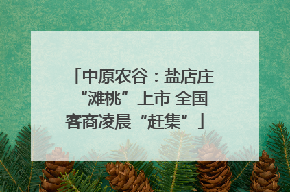 中原农谷：盐店庄“滩桃”上市 全国客商凌晨“赶集”