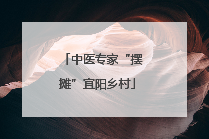 中医专家“摆摊”宜阳乡村