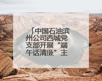 中国石油滨州公司西城党支部开展“端午话清廉”主题党日活动