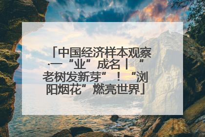 中国经济样本观察·一“业”成名丨“老树发新芽”！“浏阳烟花”燃亮世界