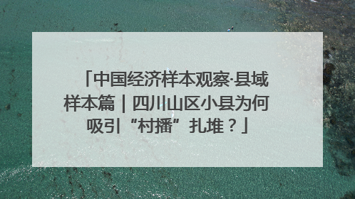 中国经济样本观察·县域样本篇｜四川山区小县为何吸引“村播”扎堆？