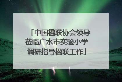 中国楹联协会领导莅临广水市实验小学调研指导楹联工作