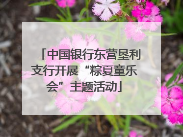中国银行东营垦利支行开展“粽夏童乐会”主题活动