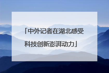 中外记者在湖北感受科技创新澎湃动力
