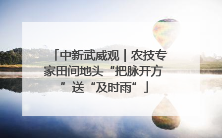 中新武威观｜农技专家田间地头“把脉开方”送“及时雨”