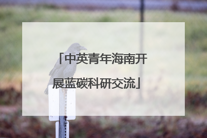 中英青年海南开展蓝碳科研交流