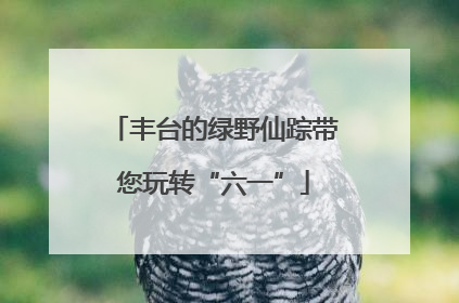 丰台的绿野仙踪带您玩转“六一”