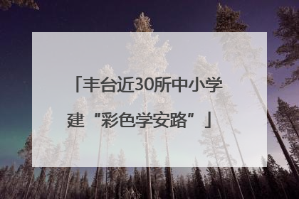 丰台近30所中小学建“彩色学安路”