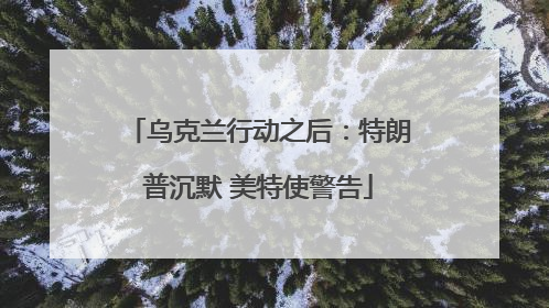 乌克兰行动之后：特朗普沉默 美特使警告