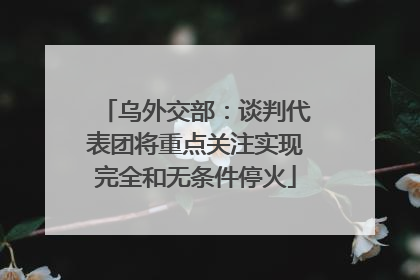 乌外交部：谈判代表团将重点关注实现完全和无条件停火