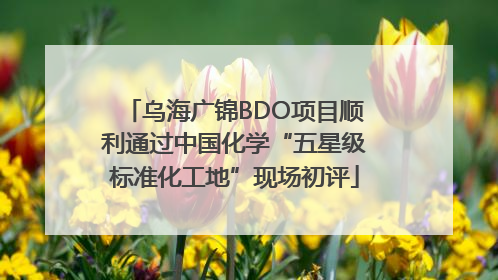 乌海广锦BDO项目顺利通过中国化学“五星级标准化工地”现场初评
