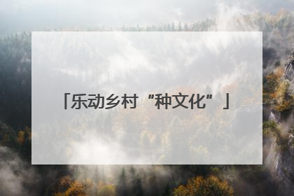 乐动乡村“种文化”