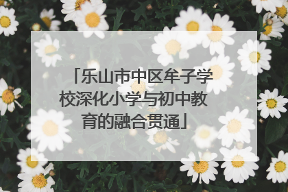 乐山市中区牟子学校深化小学与初中教育的融合贯通