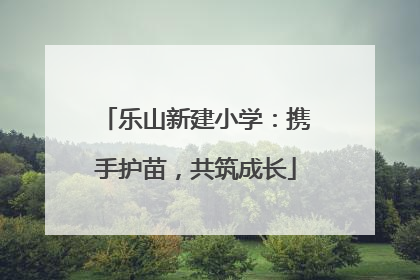 乐山新建小学：携手护苗，共筑成长