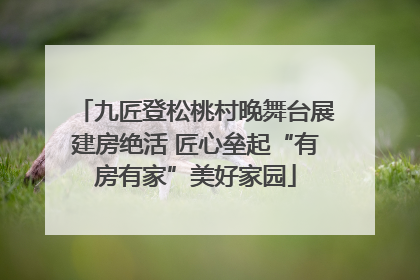 九匠登松桃村晚舞台展建房绝活 匠心垒起“有房有家”美好家园