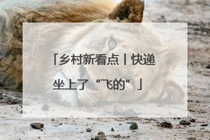 乡村新看点丨快递坐上了“飞的”