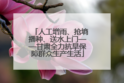 人工增雨、抢墒播种、送水上门——甘肃全力抗旱保障群众生产生活