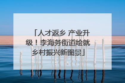 人才返乡 产业升级！李海务街道绘就乡村振兴新图景