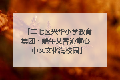 二七区兴华小学教育集团：端午艾香沁童心 中医文化润校园
