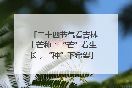 二十四节气看吉林丨芒种：“芒”着生长，“种”下希望
