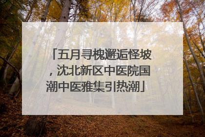 五月寻槐邂逅怪坡，沈北新区中医院国潮中医雅集引热潮