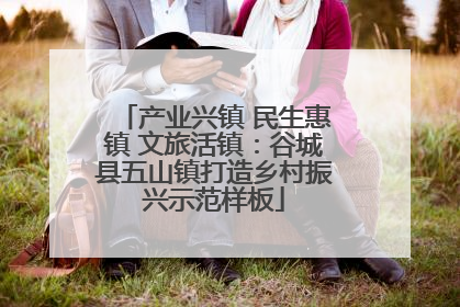 产业兴镇 民生惠镇 文旅活镇：谷城县五山镇打造乡村振兴示范样板