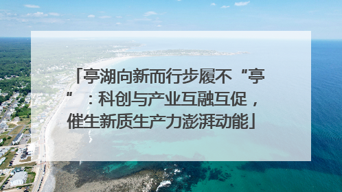 亭湖向新而行步履不“亭”：科创与产业互融互促，催生新质生产力澎湃动能