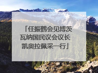 任振鹤会见博茨瓦纳国民议会议长凯奥拉佩采一行