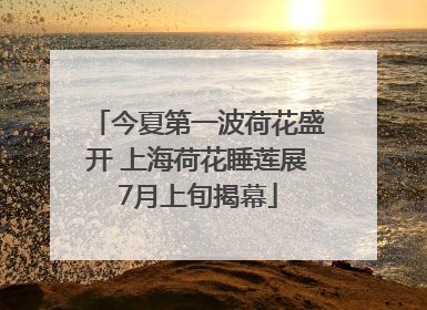 今夏第一波荷花盛开 上海荷花睡莲展7月上旬揭幕