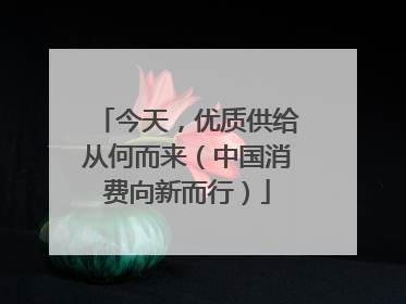 今天，优质供给从何而来（中国消费向新而行）