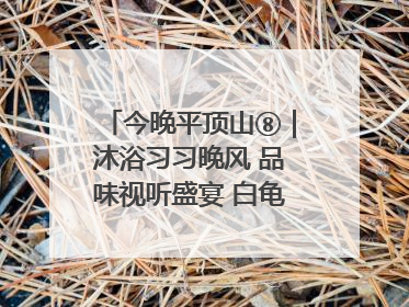 今晚平顶山⑧｜沐浴习习晚风 品味视听盛宴 白龟湖畔·草坪音乐会激情上演
