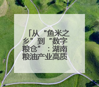 从“鱼米之乡”到“数字粮仓”：湖南粮油产业高质量发展的创新实践