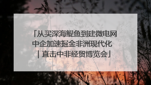 从买深海鳀鱼到建微电网 中企加速掘金非洲现代化｜直击中非经贸博览会