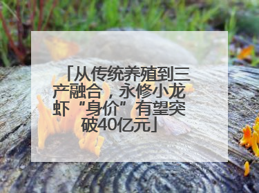 从传统养殖到三产融合，永修小龙虾“身价”有望突破40亿元