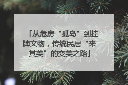 从危房“孤岛”到挂牌文物，传统民居“来其美”的变美之路