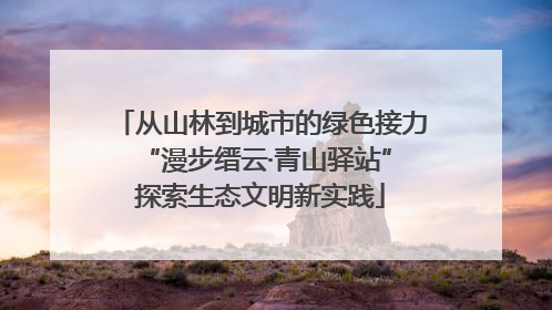 从山林到城市的绿色接力 “漫步缙云·青山驿站”探索生态文明新实践
