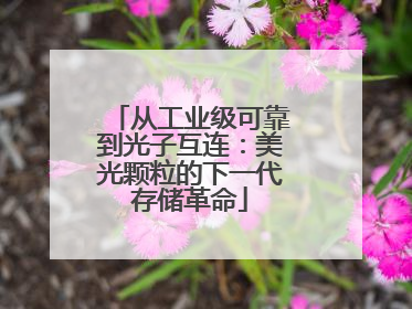 从工业级可靠到光子互连：美光颗粒的下一代存储革命