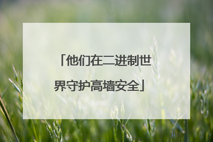 他们在二进制世界守护高墙安全