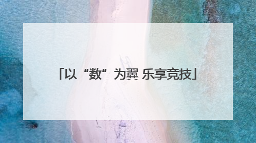 以“数”为翼 乐享竞技