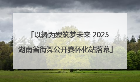 以舞为媒筑梦未来 2025湖南省街舞公开赛怀化站落幕