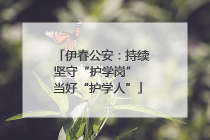 伊春公安：持续坚守“护学岗” 当好“护学人”
