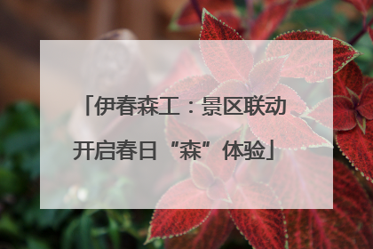 伊春森工：景区联动开启春日“森”体验