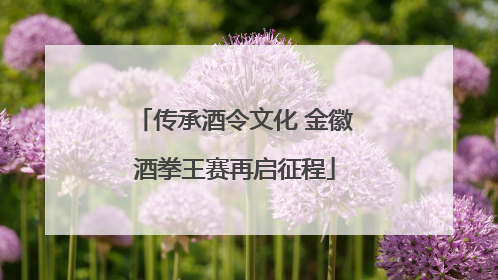 传承酒令文化 金徽酒拳王赛再启征程